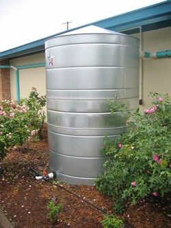 rainwater basin